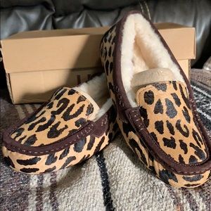 Ugg Cheetah Shoes